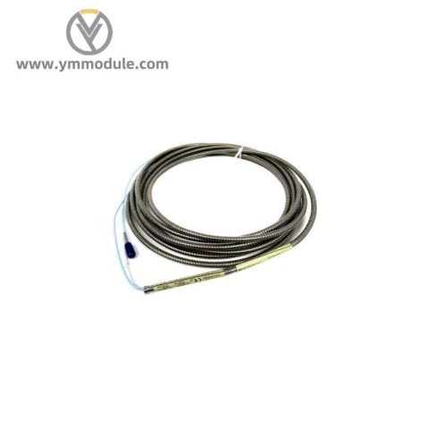 Bently Nevada 330930-065-00-CN: Advanced 3300 NSv Extension Cable