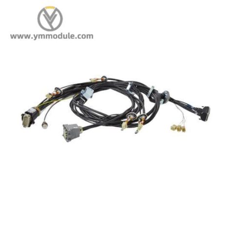 ABB CP800 Central Unit for Industrial Automation Control Systems