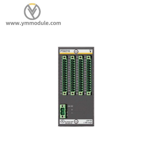 Bachmann PTAI216 Temperature Recording Module