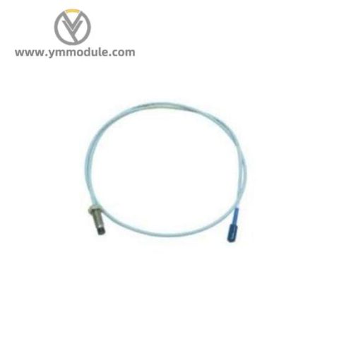 BENTLY NEVADA 137479-038-10-02: Swift Delivery, Precision Control Module