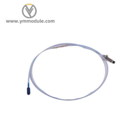 Bently Nevada 21000-16-10-00-256-04-02: Advanced Control Module for Industrial Automation