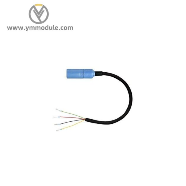 E+H 319083-0200 Process Control Module