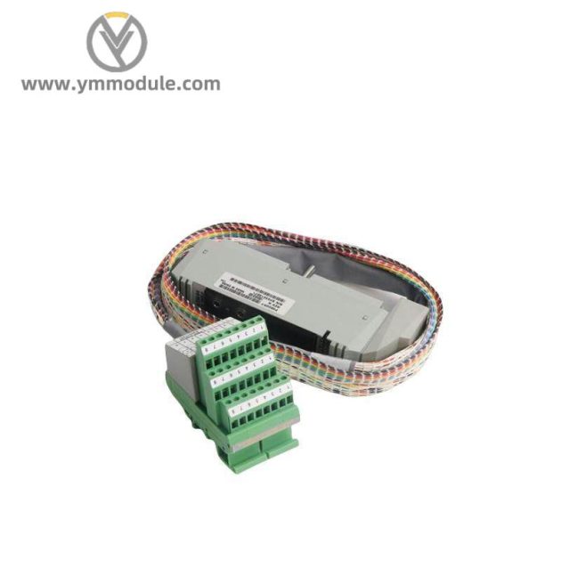 FOXBORO AD207AV - High-Performance Control Module