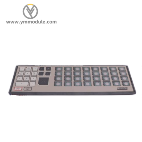 FOXBORO FBM03 - Custom Processed Module for Industrial Automation