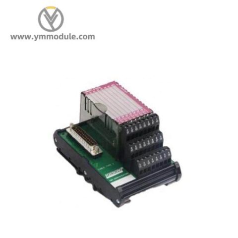 FOXBORO P0961BD-GW30B - High Precision Control Module