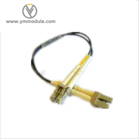 FOXBORO P0973BU Control Module for Industrial Automation