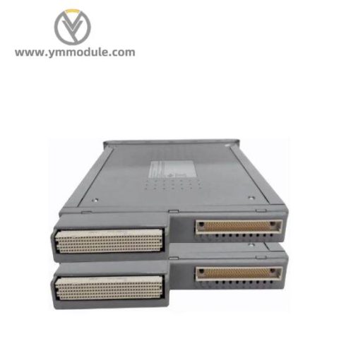 ICS TRIPLEX T8191 Single Slot PLC Module for Industrial Automation