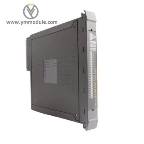 ICS TRIPLEX T8403 HMI and PLC Module