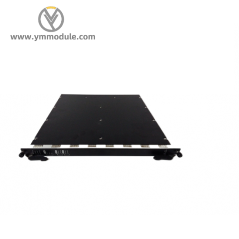 ABB SIS AI3281 AI3281-A-V001 Analog Input Module