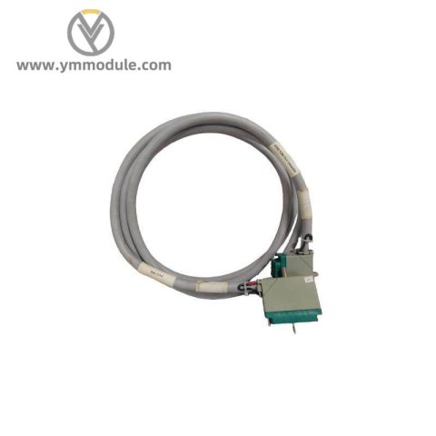 TRICONEX 4000093-310 Extended Product Type: PLC