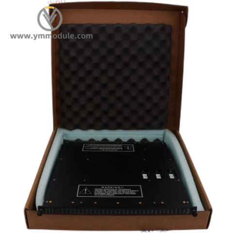 TRICONEX 9562-810 Industrial Control Module