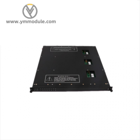 TRICONEX 9561-810 High-Performance Process Control Module