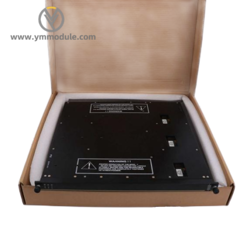 TRICONEX 9566-810F - High-Performance Industrial Control Module