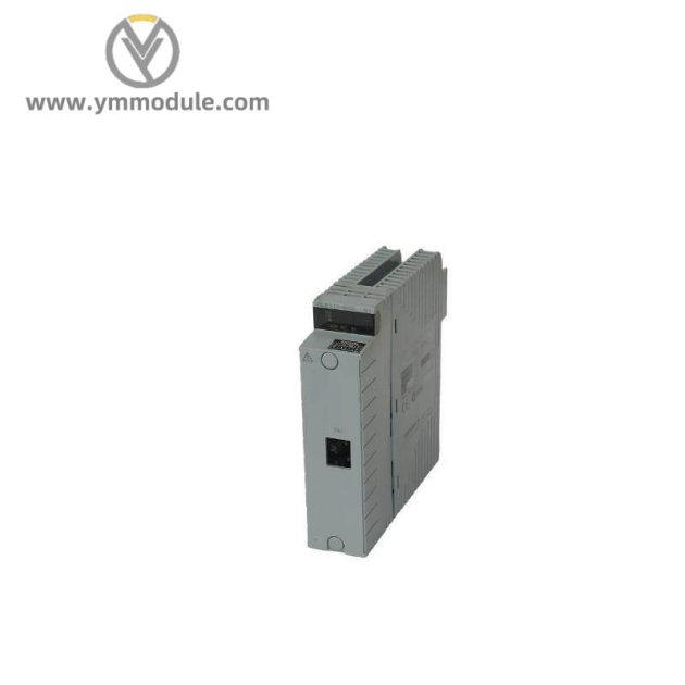 YOKOGAWA 8596020000 Custom Processing Module