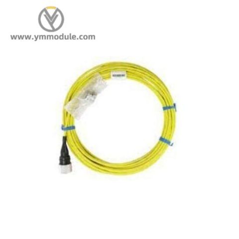 Bently Nevada CB2W100-125: Rapid Delivery Time, High Precision Control Module