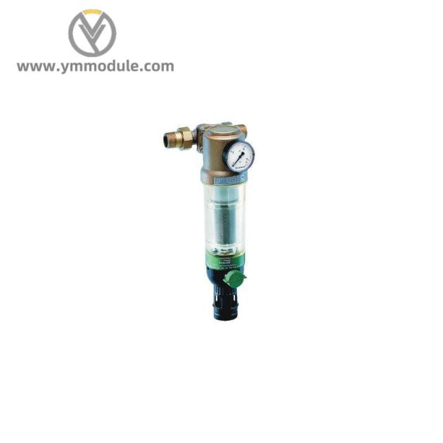 BRAUKMANN F76CS-1AA Reverse Rinsing Filters, Advanced Filtration Solutions
