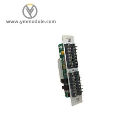 GE Bently Nevada 82365-01 Alarm Relay & Recorder Outputs with Dual Epoxy Relays