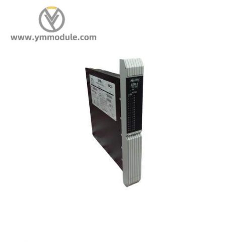 Moore 39SDM024DCCBN - 16101-174R/12 SDM+ Standard Discrete Module