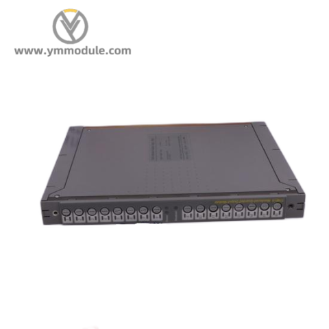 Bosch Rexroth R911286196 - High-Performance Servo Drive Module for Industrial Automation