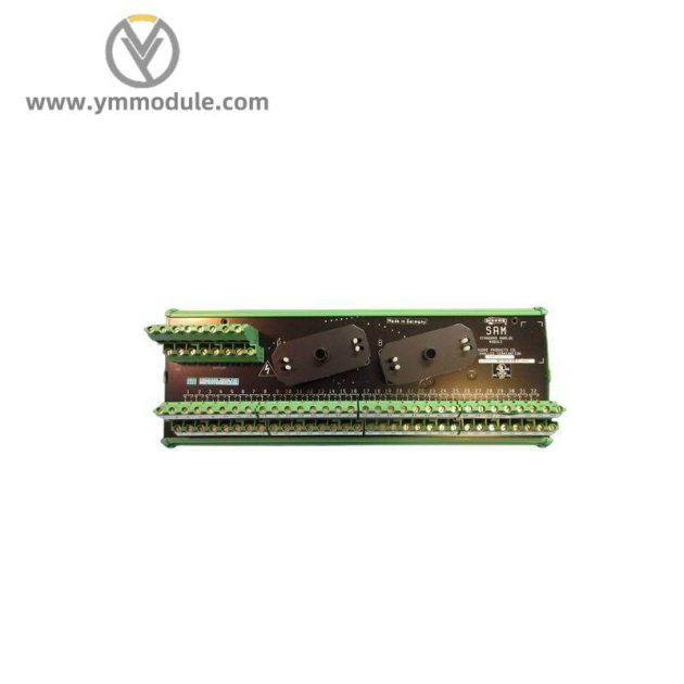 SIEMENS 16169-1-07 Analog Input Module