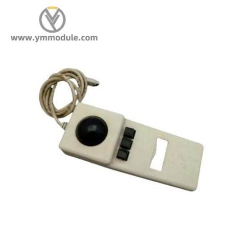 Foxboro P0916EC Module for Industrial Automation Systems