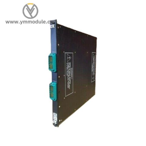 Invensys Triconex 2658 Tricon II Terminator Interface, 7400096-200