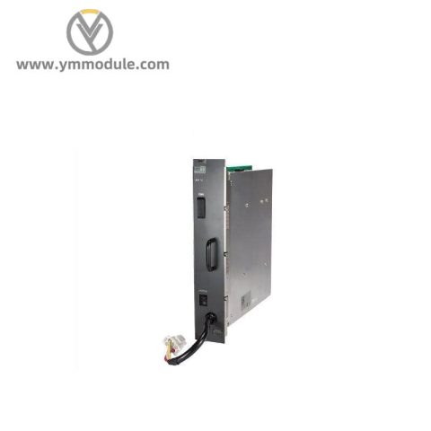 Yokogawa SM21-AG4 Industrial Electrode, Specialized for Harsh Conditions