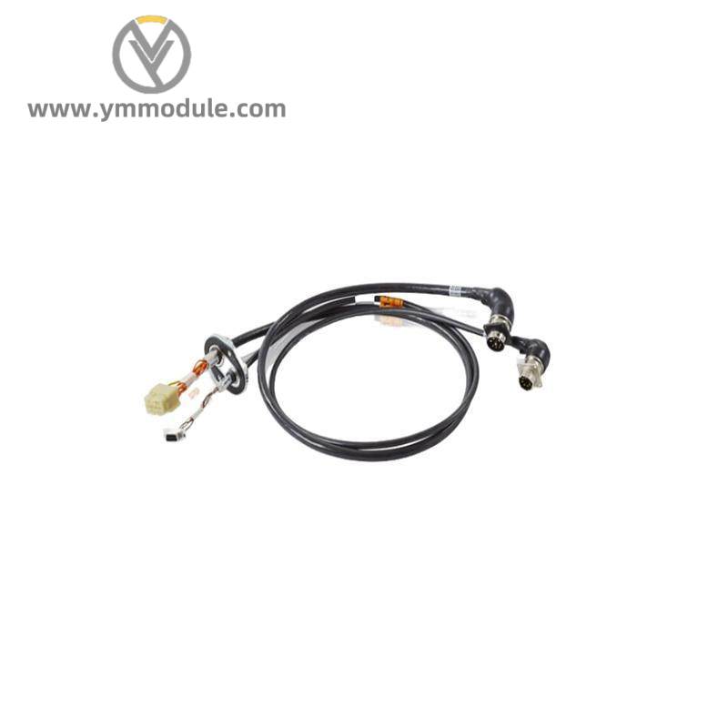 abb_irb66403hac14139-1_irb66003hac17484-7_03_irb66403hac17484-6_03_3hac17484-6.jpg 6181P-15TPXp Custom Module for Industrial Control