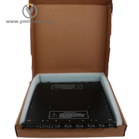 Triconex 9760-210 Panel Field Termination; Manufacturer: Invensys